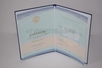 Диплом Колледжа 2015г СпецБланк в Вологде